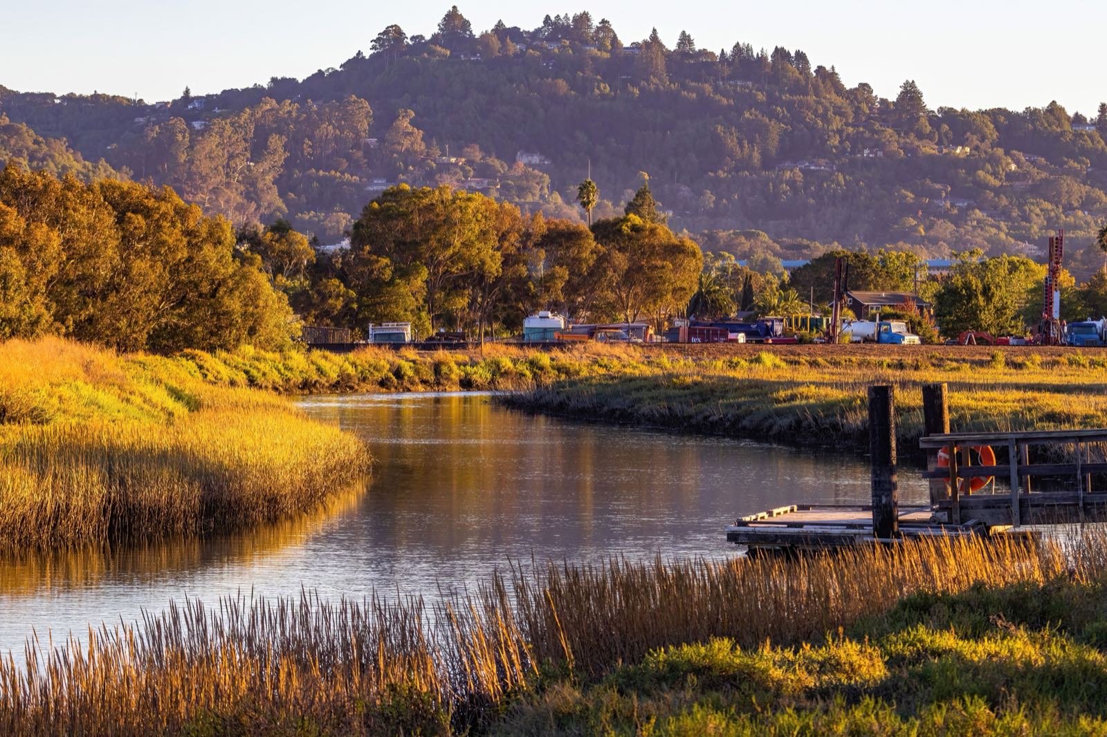 Sauna Builder in Novato, CA