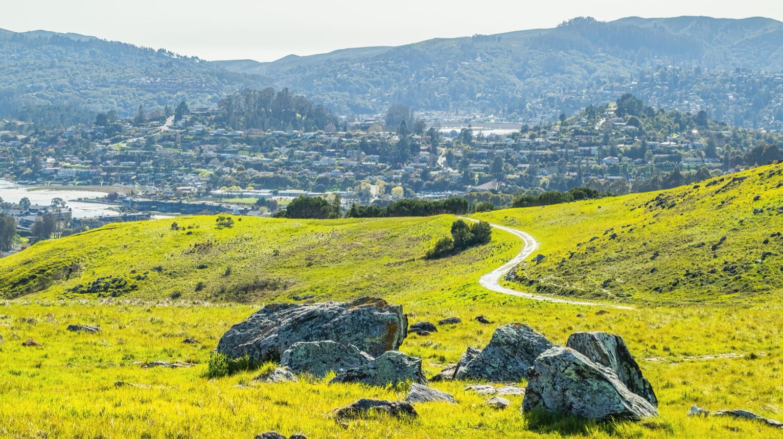 Sauna Builder in San Anselmo, CA