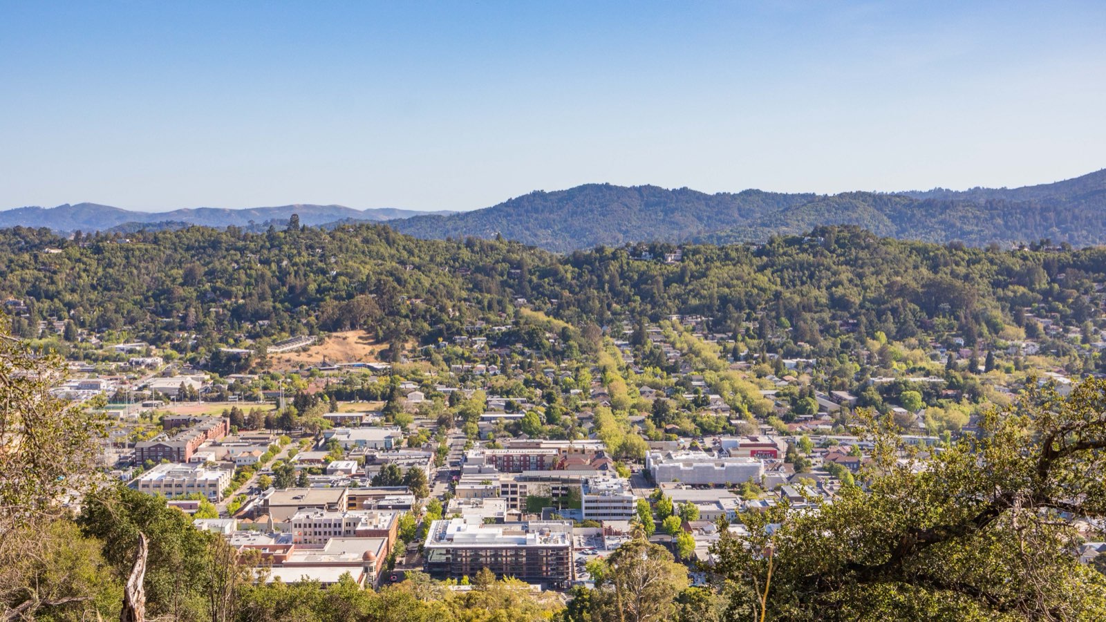 Sauna Builder in San Rafael, CA
